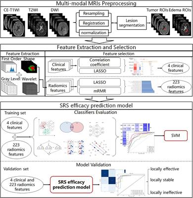 Prediction of treatment response in patients with brain metastasis receiving stereotactic radiosurgery based on pre-treatment multimodal MRI radiomics and clinical risk factors: A machine learning model